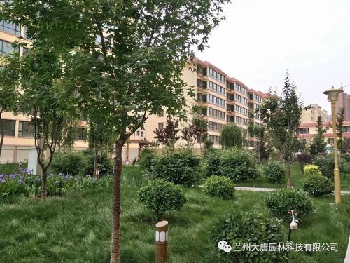 临洮怡康苑住宅小区园林景观绿化工程绿化养护方案