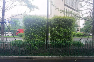 匠心筑绿，典范引航——杭州市2016年度优秀园林绿化工程特色项目观摩活动侧记