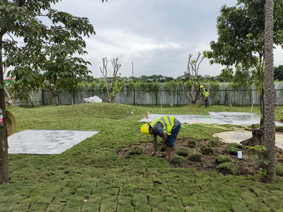 园林绿化工程中常用植物规格与种植密度详解及养护要点