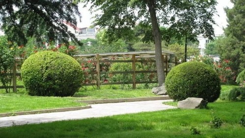 园林绿化龙企业双线并进 扩大内需掘金主业，进军光伏开辟新赛道