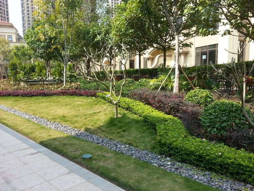 沈阳辽中区绿化养护费用与园林绿化工程施工的综合解析