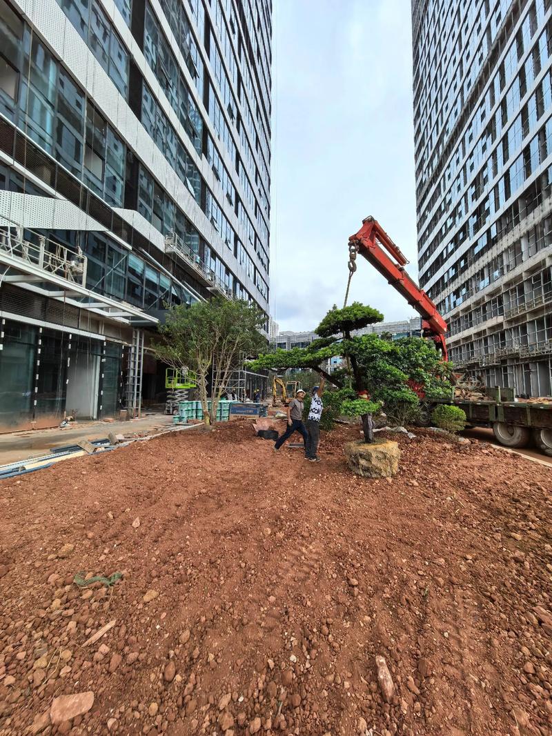 从一草一木到一方生态 园林景观绿化的多元价值与深远意义